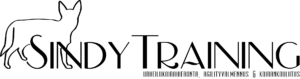 Sindytraining logo